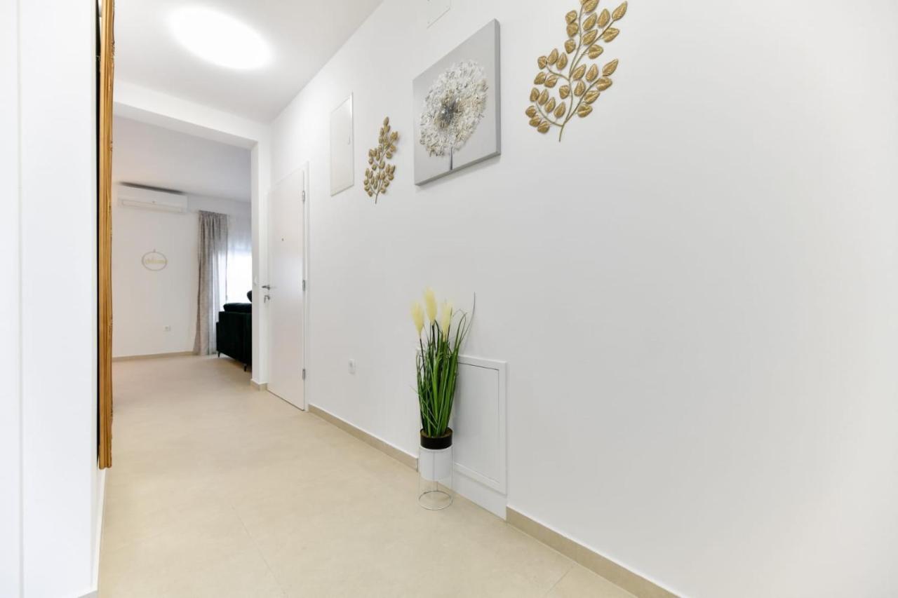 Family Apartment Amare Zadar Buitenkant foto